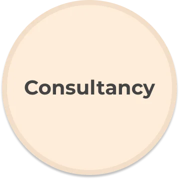 MVP consulting